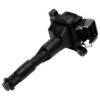 DELPHI GN10016-11B1 Ignition Coil